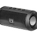 Портативная акустическая система Defender Enjoy S500 Bluetooth 6Вт FM/microSD/USB
