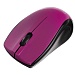 Мышь беспроводная Gembird MUSW-320-P 2.4ГГц пурпурный 2 кнопки+колесо-кнопка 1000 DPI 10 м