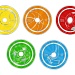 Диск CD-R Mirex 700 Mb 52х дизайн "Sport" Shrink (100) (100/500)