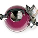 Чайник со свистком Endever Aquarelle-302 бордовый 3л сталь с термопокрытием