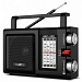 Портативная акустика SVEN SRP-450 черный 3 Вт FM/AM/SW